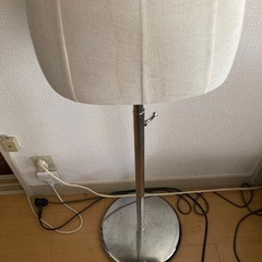 レディース　トルソーの画像