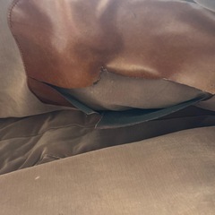 チューバ　ソフトケースの画像