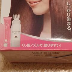 早染め ヘアカラー  より明るい栗色 乳液タイプの画像