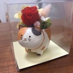 ドライフラワー 猫 陶器の画像