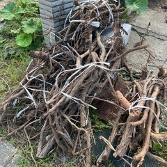 木差し上げますの画像