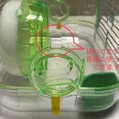 ルックルック フォーチュン ミニ グリーン / WILD(ワイルド)+おまけ16点付の画像