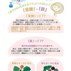 【特売】ビーンスタークマム/毎日葉酸＋鉄これ一粒/1袋の画像