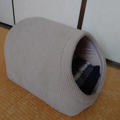 猫の部屋の画像
