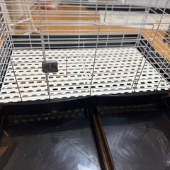 うさぎ モルモット ゲージの画像