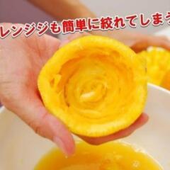 【売り切れ】【出品多数】【美品】レモンしぼり革命 ホワイト 旭電機化成の画像