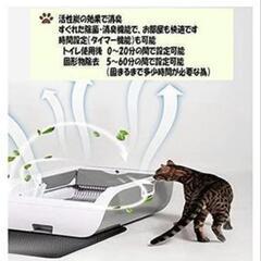 猫自動トイレの画像