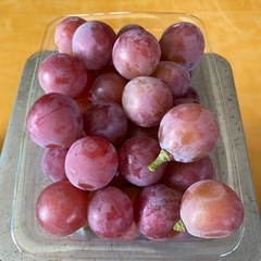 クイーンニーナ600ｇ【粒のみ
】の画像
