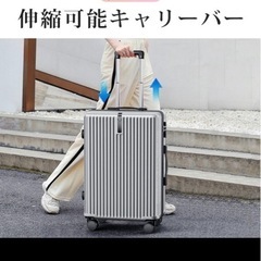 シルバースーツケース　S
　の画像