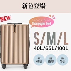 シルバースーツケース　S
　の画像