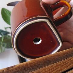 観葉植物　レデボウリア②の画像