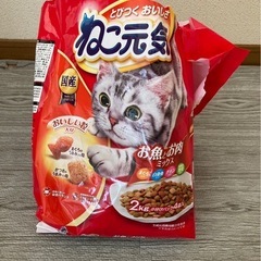 アイリスオーヤマ 猫 トイレ　レギュラー
の画像