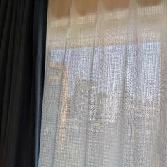 【9/9以降】遮光カーテン青の画像
