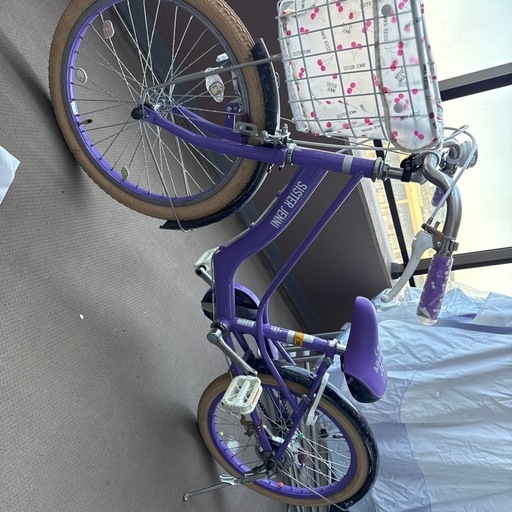 キッズ自転車　20インチ　シスタージニー