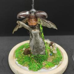 【手作りカブトムシ標本】羽を広げる姿　長持ち加工済　観賞、インテリア、プレゼント自然の雰囲気の画像