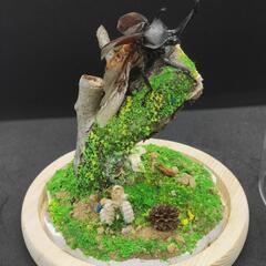 【手作りカブトムシ標本】羽を広げる姿　長持ち加工済　観賞、インテリア、プレゼント自然の雰囲気の画像