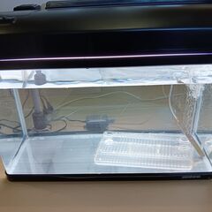 NISSO 中型水槽 600mm 淡水魚飼育セット フィルター・照明付きの画像