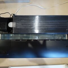 NISSO 中型水槽 600mm 淡水魚飼育セット フィルター・照明付きの画像