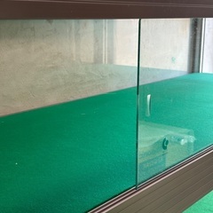 対面ガラスショーケース(史料ケース、ディスプレイ棚、ショップ什器、学校備品)の画像
