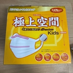 【8月31日限定】マスクの画像