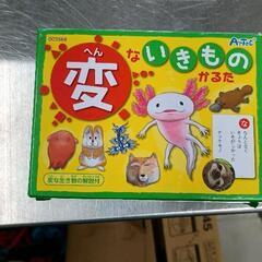 サムネイル