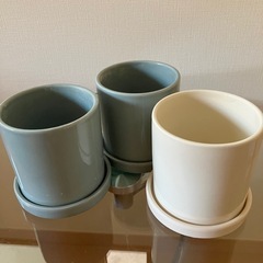 ６セット　植木鉢　皿つきポット　新品アイボリー　４号×2  ３号×1  中古　3セット観葉植物の画像