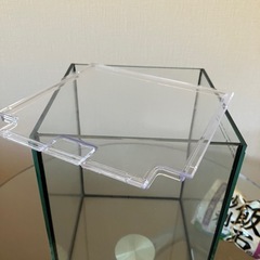 卓上アクアリウム水槽&備品セット　ガラス器　熱帯魚　水槽　癒しの画像