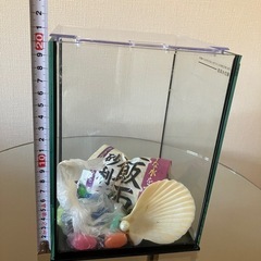 卓上アクアリウム水槽&備品セット　ガラス器　熱帯魚　水槽　癒しの画像