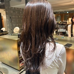 女性カットモデル募集❗️ 札幌大通り✅