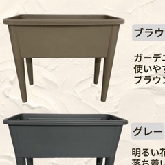 足つきプランターとメダカ、エビ、水草ビオトープの画像
