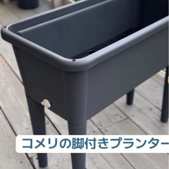 足つきプランターとメダカ、エビ、水草ビオトープの画像