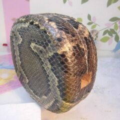 25.000円　沖縄三線専用　盛嶋開鐘チーガ蛇皮本張り　完成品でお届けの画像