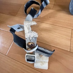 車のキャリーのバンドの画像