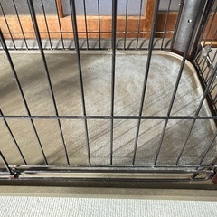 猫 ゲージ の画像