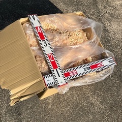おがくず、木屑の画像