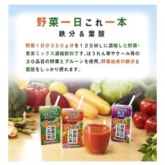 KAGOME　野菜一日これ一本　125ml×23本
　　の画像