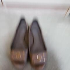 トリバーチパンプスの画像
