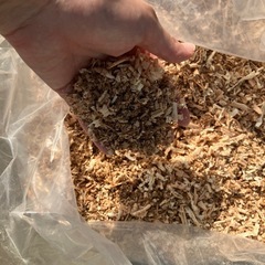 木屑、おがくずの画像