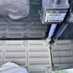 60cm台座付き水槽の画像