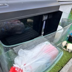60cm台座付き水槽の画像