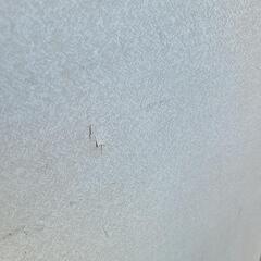 薄い板②の画像