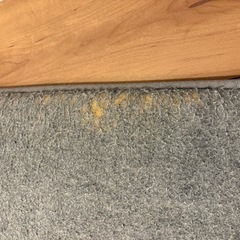 ふかぴた　　防音　ラグ　下敷きの画像