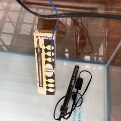 【取引中】ガラス水槽　フィルターセット　大型の画像