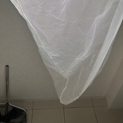 虫アミの画像