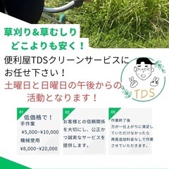 草刈り、草むしり、お任せください！