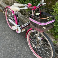 自転車店から出品/ 22インチ/可愛い女児車/シングルスピード/国内メーカー品/品質最高！防犯登録ok の画像