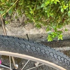 自転車店から出品/ 22インチ/可愛い女児車/シングルスピード/国内メーカー品/品質最高！防犯登録ok の画像
