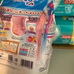 水遊びパンツMの画像