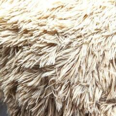 再4【3畳】絨毯 カーペット シャギーラグ 【ライトキャメル】 ラグマット Beddiny ホットカーペット対応の画像