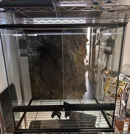 爬虫類　ケージ　セット　60サイズ